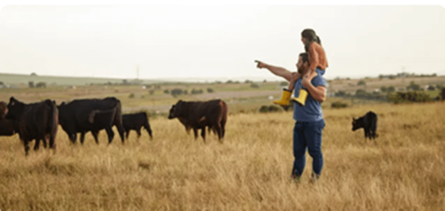 Parlamento Europeo, relevo generacional en agricultura España (imagen PE)