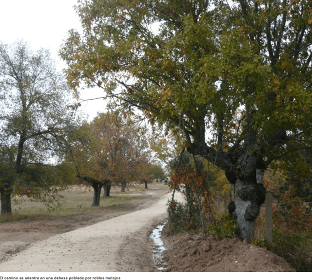 Camino Natural Paisaje Agrario Sayagués, Zamora