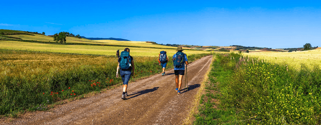 Estudio socioeconómico sostenible municipios del Camino de Santiago Francés, AMCS