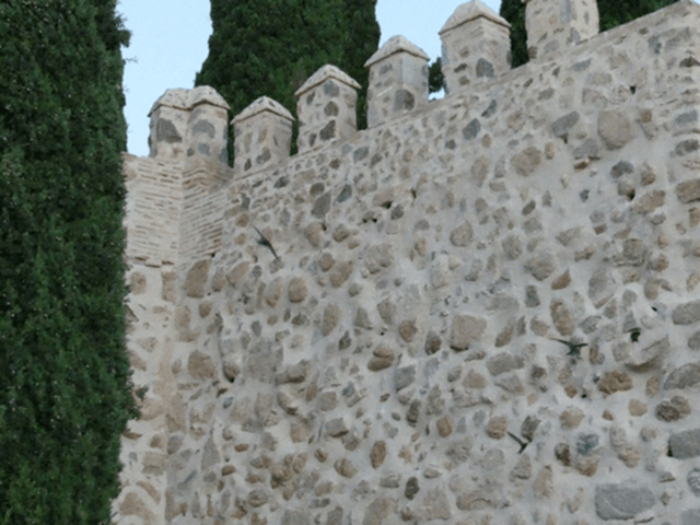 Vencejos al lado de sus nidos en la muralla rehabilitada de Toledo estudio de GREFA (imagen GREFA)