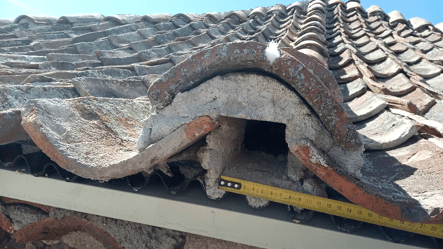 Diseño del nido para vencejo en el torreón de Lozoya rehabilitado en Segovia (imagen GREFA)