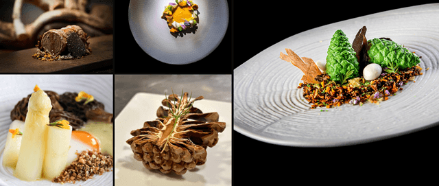 Guía Michelin, Restaurante La Lobita, un estrella Michelin en Navaleno (Soria) (imagen La Lobita)