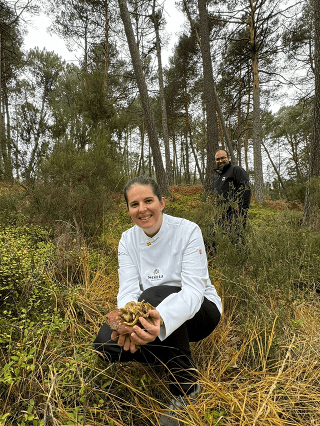 Guía Michelin, Restaurante La Lobita, un estrella Michelin en Navaleno (Soria) (imagen La Lobita)