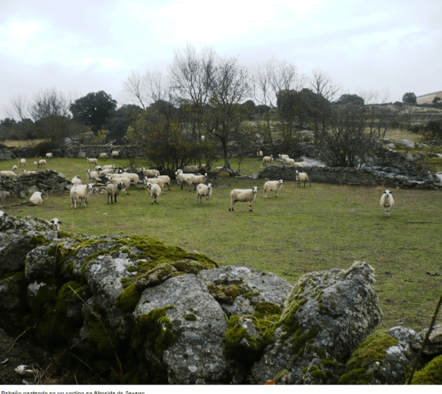 Camino Natural Paisaje Agrario Sayagués, Zamora