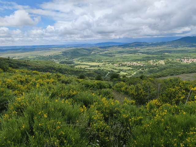 Montaña Palentina, Brañosera, Palencia (imagen FSMRPH)