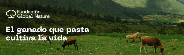 Ganado regenerativo del bosque, Fundación Global Nature, un proyecto desarrollado en Castilla y León (imagen FGN)