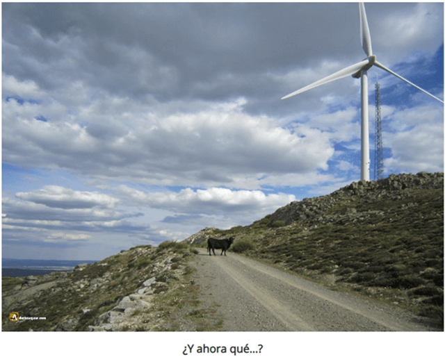 Descenso del cerro Gorría, sierra de Ávila, ganado y aerogenerador