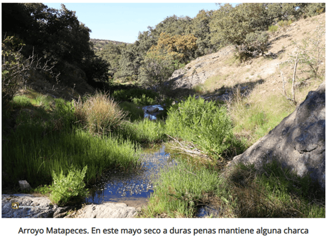 Sierra de Ávila, Arroyo Matapeces