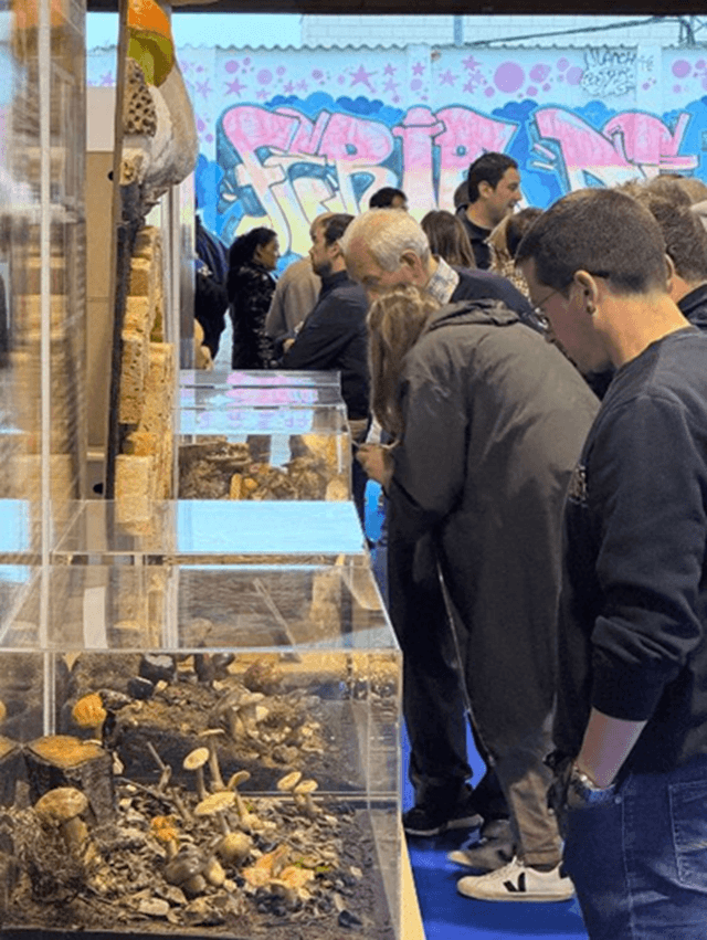 Exposición micológica, Boós, Soria (imagen Asociación Montes de Soria)