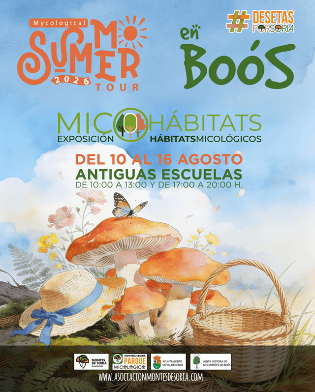 Exposición micológica, Boós, Soria (imagen Asociación Montes de Soria)
