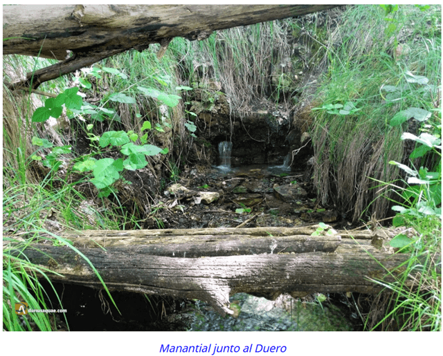 Ruta ciclista 41 Durius Aquae por los alrededores de Peñafiel, Valladolid (imagen Durius Aquae)