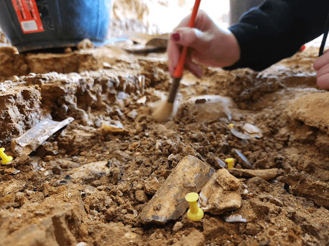 Excavaciones arqueológicas Prado Vargas, Cornejo, Merindad de Sotoscueva, UBU, Burgos (imagen UBU)
