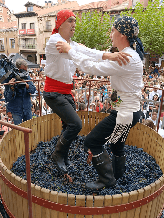 Fiesta de la Vendimia en la Ribera del Duero, Ruta turística del Vino Ribera del Duero (imagen Ruta del Vino Ribera del Duero)