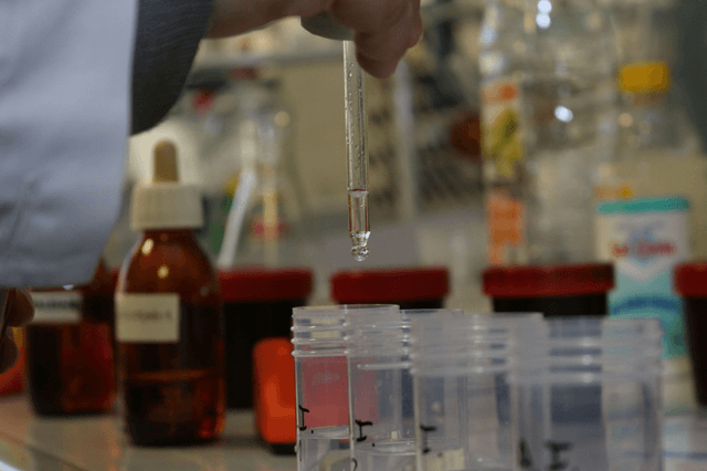 Departamento investigación de la Universidad de Burgos (UBU) (imagen UBU)