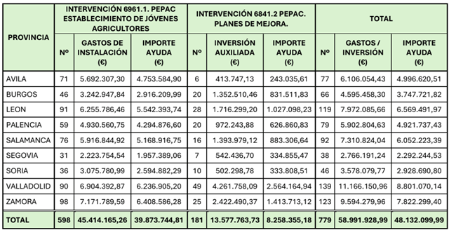 Tabla resumen de los importes de las ayudas a los jóvenes agricultores incorporados a la actividad agraria en Castilla y León en 2026 a escala provincial (Fuente: JCYL)