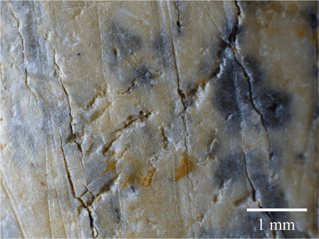 Restos arqueológicos neandertales, cueva de Valdegoba, Huérmeces, Burgos, UBU (imagen UBU)