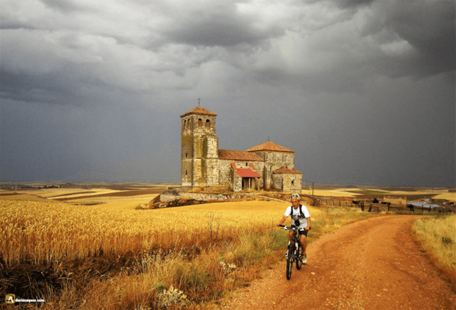 La Pindonga… luciendo palmito