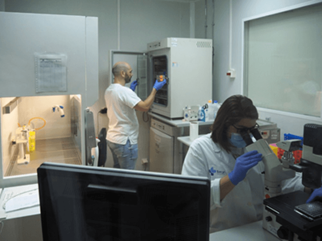 Investigación centro sanitario sacyl, Castilla y León (imagen sacyl)